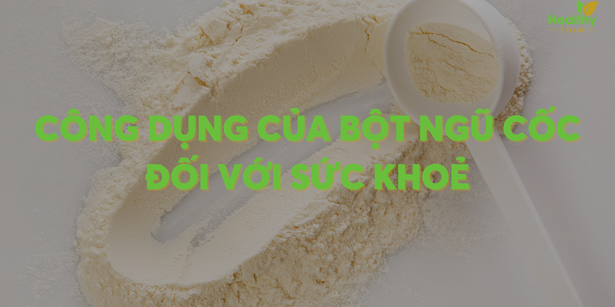 cong-dung-bot-ngu-co