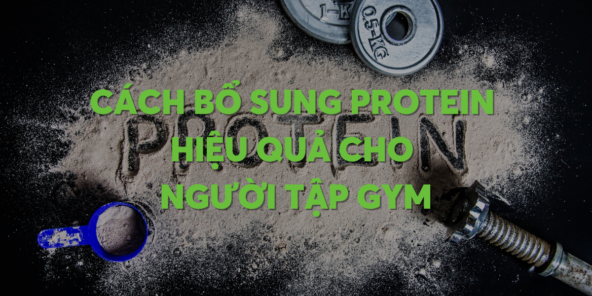 cach-bo-sung-protein-cho-nguoi-tap-gym