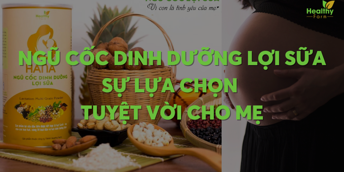 ngu-coc-dinh-duong-loi-sua-cho-me