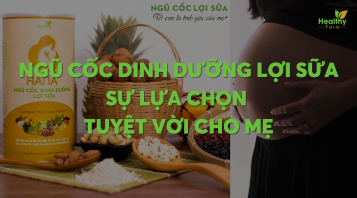 ngu-coc-dinh-duong-loi-sua-cho-me