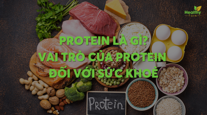 protein-la-gi
