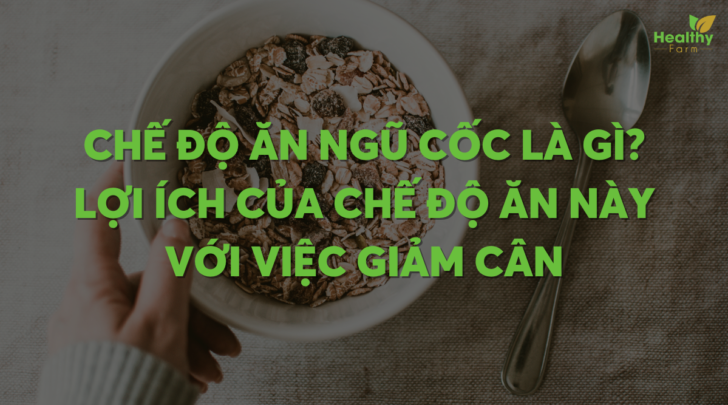 che-do-an-ngu-coc-la-gi