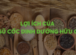 loi-ich-ngu-coc-dinh-duong-huu-co