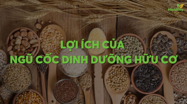 loi-ich-ngu-coc-dinh-duong-huu-co