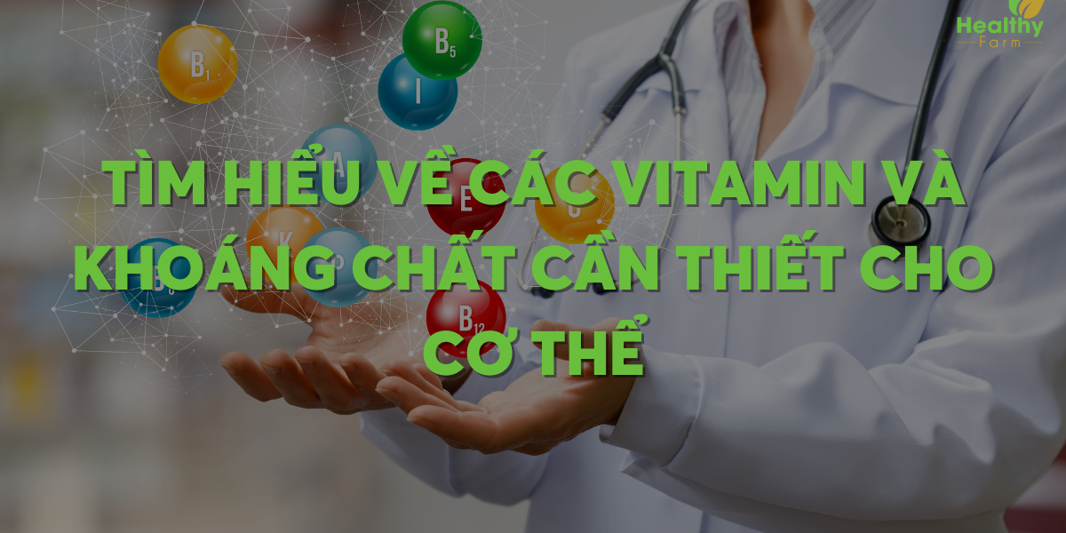 tim-hieu-ve-cac-vitamin-va-khoang-chat