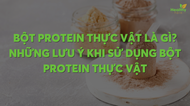 bot-protein-thuc-vat-la-gi