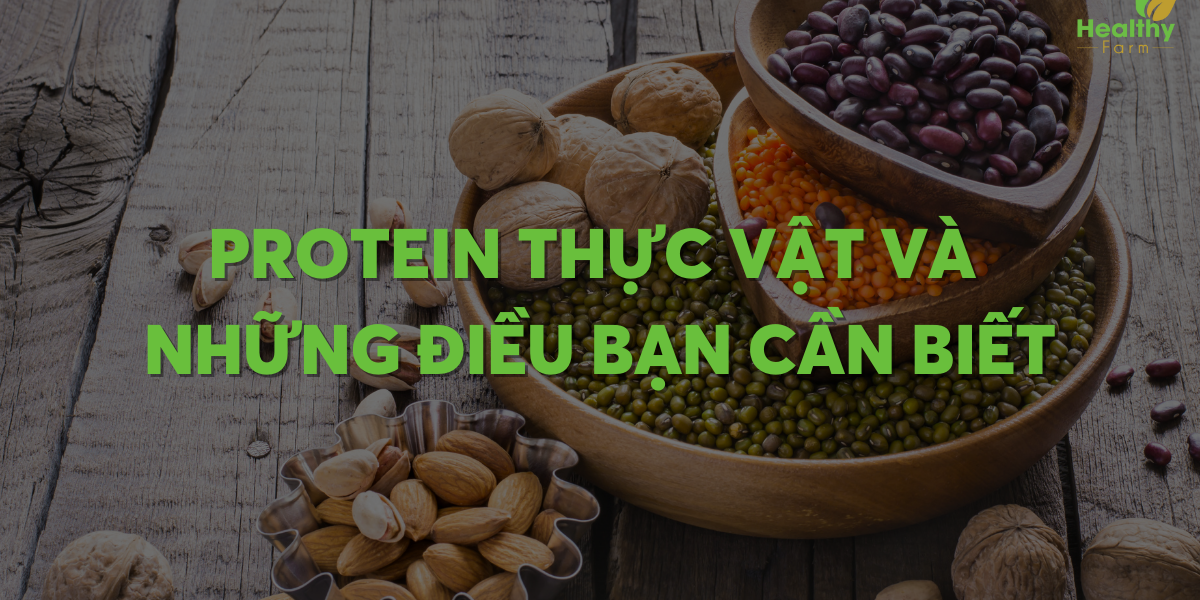 protein-thuc-vat-la-gi