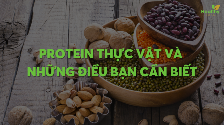 protein-thuc-vat-la-gi