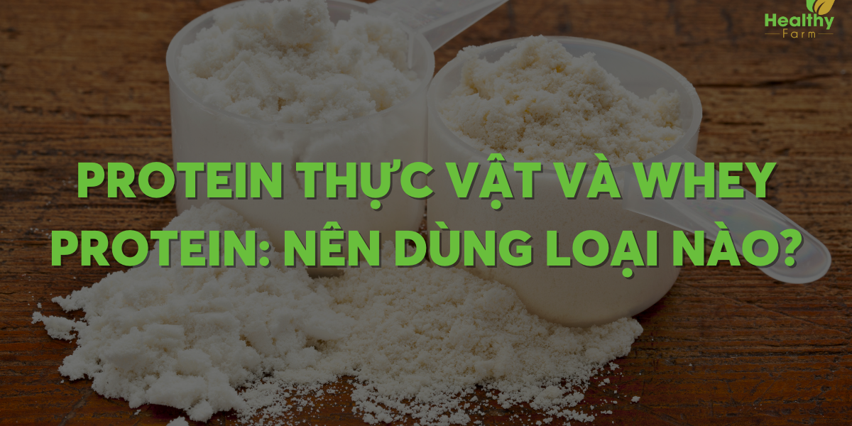 protein-thuc-vat-va-whey-protein