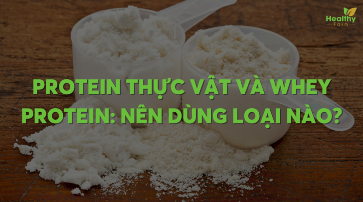 protein-thuc-vat-va-whey-protein