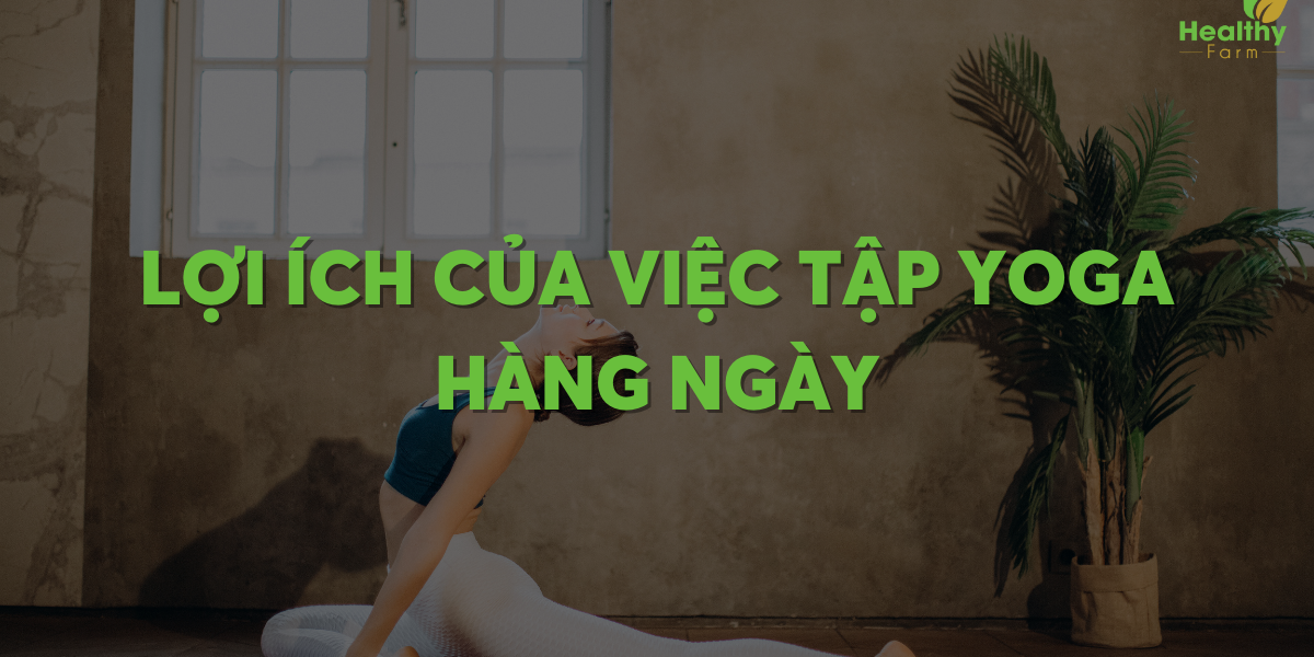 tap-yoga-hang-ngay