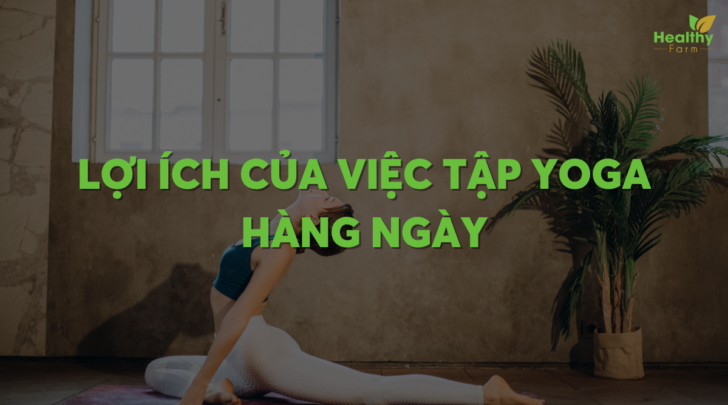 tap-yoga-hang-ngay