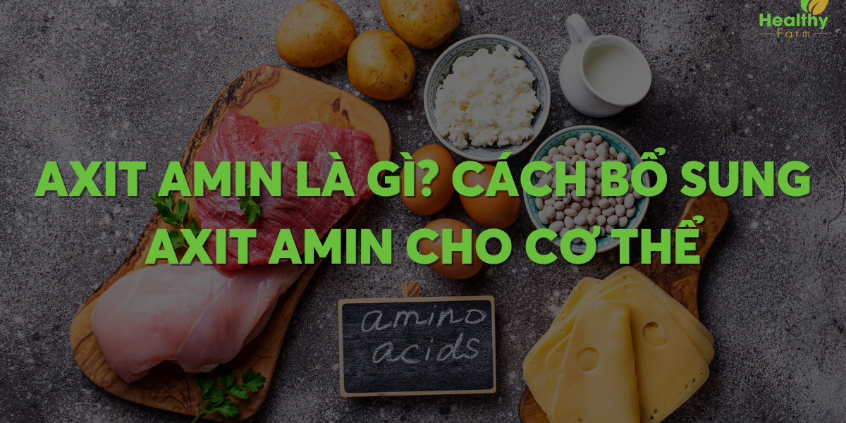 axit-amin-la-gi