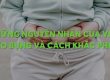 Những nguyên nhân của việc béo bụng và cách khắc phục